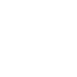 Facebook 256