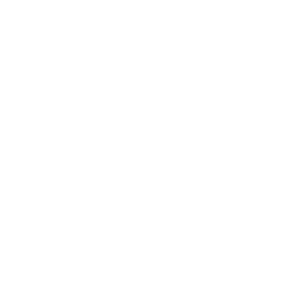 Twitter 256
