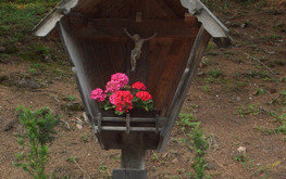 Project thumb 826f9f8a 3dc4 4713 a876 f0394a03f575