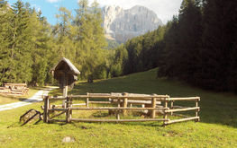 Project thumb 38236b58 f665 48eb b912 08b785f6ccb3